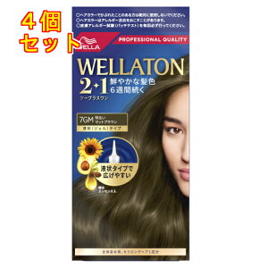 y򕔊OizEGg[@c[vXi2+1jt^Cv@7GM@邢}bguE×4񂹏i@ԕis