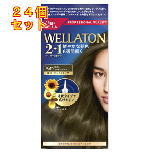 y򕔊OizEGg[@c[vXi2+1jt^Cv@7GM@邢}bguE×24񂹏i@ԕis