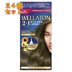 y򕔊OizEGg[@c[vXi2+1jt^Cv@8GM@薾邢}bguE×24񂹏i@ԕis