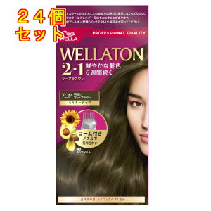 y򕔊OizEGg[@c[vXi2+1j~L[EX@7GM@邢}bguE×24񂹏i@ԕis