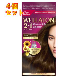 y򕔊OizEGg[@c[vXi2+1j~L[EX@6CB@▾邢i`uE×4񂹏i@ԕis