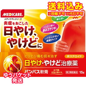 ゆうパケット）【第2類医薬品】メディケア　パンパス軟膏　15g