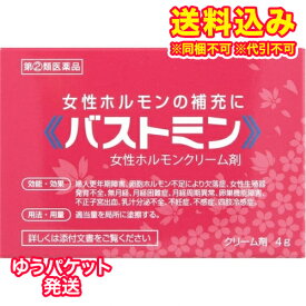 ゆうパケット）【第(2)類医薬品】バストミン　4g