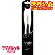 ゆうパケット）フェリセラ　ライナーブラシ　FEBR701　1本