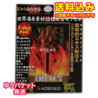 ゆうパケット）凄十　インパクト　4P