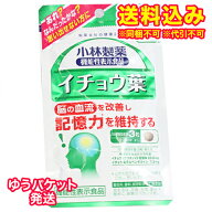 ゆうパケット）小林製薬　イチョウ葉a　90粒
