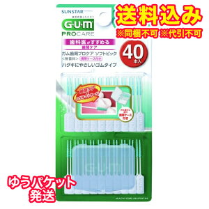 �䂤�p�P�b�g�j�K���@GUM�@�\�t�g�s�b�N�@�S���^�C�v�@SSS-S�@40�{