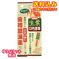 ゆうパケット）【第3類医薬品】小林製薬　生葉口内塗薬　20g