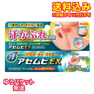 ゆうパケット）【第(2)類医薬品】アセムヒEX　15g【セルフメディケーション税制対象】