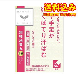 定形外）【第2類医薬品】JPS知柏地黄丸料エキス錠N　120錠