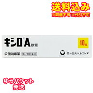 ゆうパケット）【第2類医薬品】キシロA軟膏　10g