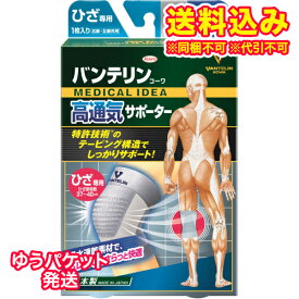 ゆうパケット）バンテリンコーワ　高通気サポーター　ひざ専用　シルバーグレー　Lサイズ　大きめ　1枚