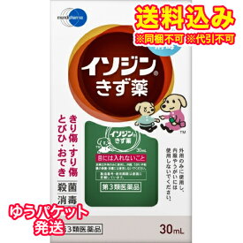 ゆうパケット）【第3類医薬品】イソジンきず薬　30ml