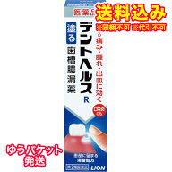ゆうパケット）【第3類医薬品】デントヘルスR(アール)　20g　歯槽膿漏薬