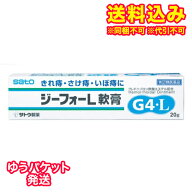 ゆうパケット）【第(2)類医薬品】ジーフォーL軟膏　20g