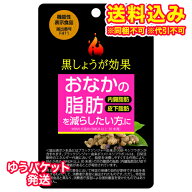 ゆうパケット）黒しょうが効果　60粒