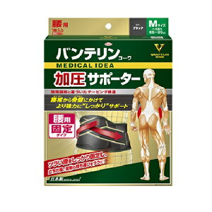 ���i�摜