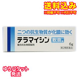 ゆうパケット）【第2類医薬品】テラマイシン軟膏a　6g
