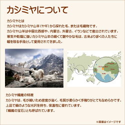 セーター長袖カシミヤ100%Vネックセーターレディースニット高級素材カシミヤ100%保温性保湿性なめらかやわらかふんわりMLLLクリームピンクベージュサックスグレークロNEW