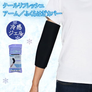 ⊴WF N[A[^ӂ͂Jo[ 1 lp jp MǑ΍ r ӂ͂ ⊴ JԂg GR pp Ђ ₷炬^C N[_E Xgb`f