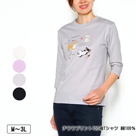 Tシャツ 7分袖 チワワプリントTシャツ 綿100％ 衿リブ使い レディース tシャツ M L LL 3L オフ ラベンダー グレー クロ 春 夏 秋 2510w