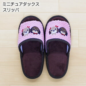 ~j`A_bNX Xbp ΉTCY24cm܂œK |GXe100 sN