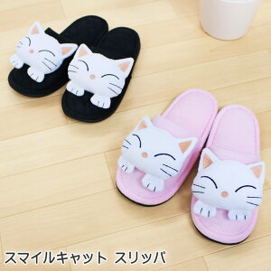 X}CLbg Xbp ΉTCY24cm܂łɓK |GXe100 sN O[