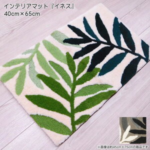 CeA}bg ClX 40cm×65cm փ}bg AN100  ʊ~߉H O[ {^jJ kX^C   nhtbN}bg 􂢉 x[W O[ 