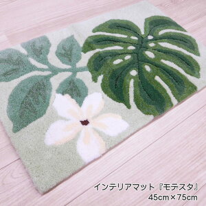 CeA}bg fX^ 45cm×75cm փ}bg AN100  ʊ~߉H O[ {^jJ kX^C   nhtbN}bg 􂢉 փ}bg