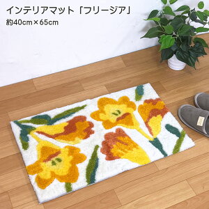 CeA}bg t[WA 40cmx65cm  փ}bg AN100 tbN}bg ^teBO ʊ~߉H CG[ J^ 