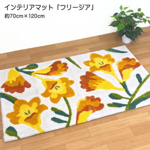 CeA}bg t[WA 70cmx120cm  փ}bg 唻TCY AN100 tbN}bg ^teBO ʊ~߉H CG[ ~jO J^ 