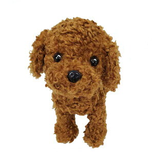 ʂ Premium Puppy Toy Poodle Red v~Aps[ gCv[h bh q L[g DOG uE