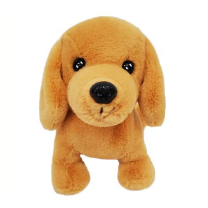 ʂ Premium Puppy Dachs Brown v~Aps[ _bNX uE  DOG 