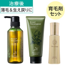 300円引券有 髪の毛回復応援セットN | 医療用 脱毛 薄毛 育毛剤 チャーガ シャンプー スヴェンソン 乳がん ハリコシ ボリューム プフレ 育毛シャンプー ノンシリコン ノンシリコンシャンプー 頭皮 女性用育毛剤 スカルプ ヘアケア 薄毛シャンプー 生え戻り スヴェンソン