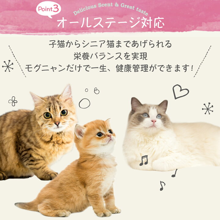 楽天市場】【公式】モグニャンキャットフード （1.5kg）全猫種 全年齢  