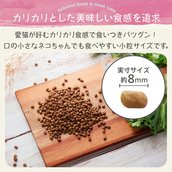 楽天市場】【公式】モグニャンキャットフード （1.5kg）全猫種 全年齢 