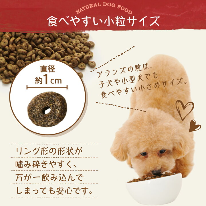 楽天市場】【公式】アランズナチュラルドッグフード ラム (2kg) 全犬種 