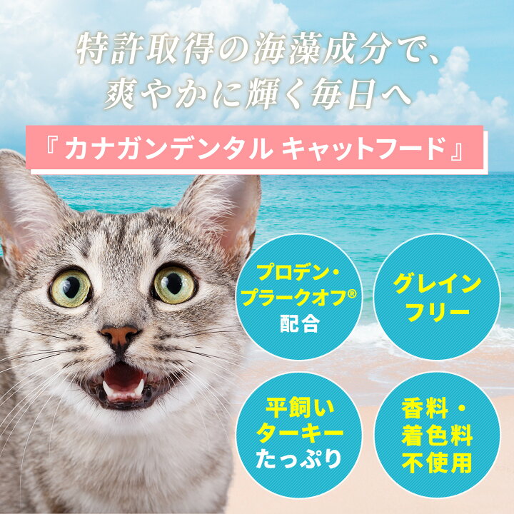 楽天市場】【公式】カナガンデンタルキャットフード（1.5Kg）全猫種 全  