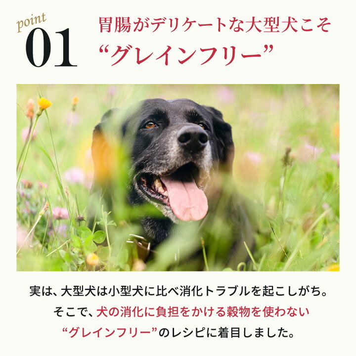 楽天市場】【公式】ネルソンズドッグフード（5kg）全犬種・全年齢対応 
