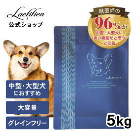 【公式】ネルソンズ ドッグフード（5kg）全犬種・全年齢対応 中型犬 大型犬 向け 着色料・香料不使用 無添加 Nelsons ネルソンズ グレインフリー ドックフード ドライ ドッグフード 大容量 大袋 子犬 成犬 シニア お試し おすすめ【送料無料】