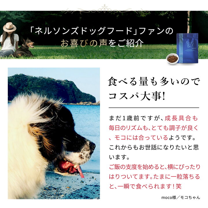 楽天市場】【公式】ネルソンズ ドッグフード（5kg）全犬種・全年齢対応 