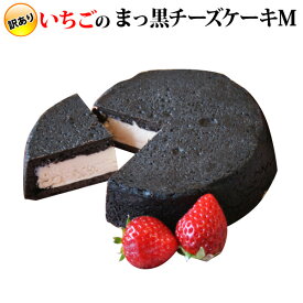 訳あり ★ まっ黒チーズケーキ Mサイズ　いちご（おのし・包装・ラッピング・手提げ袋不可）真っ黒 チーズケーキ