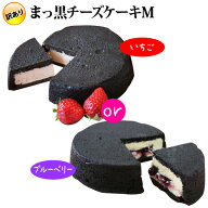 訳あり ★ まっ黒チーズケーキ Mサイズ　いちご or ブルーベリー（おのし・包装・ラッピング・手提げ袋不…