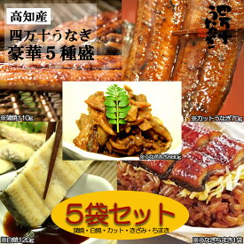 【産地直送・四万十うなぎ】お試し5種盛り合わせ 蒲焼110g 白焼120g きざみ80g カット70g ちまき1個 プレゼント ギフト タレ付き お中元 夏ギフト 高級ギフト お取り寄せ