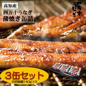 【産地直送・四万十うなぎ】まるごと1本蒲焼 3缶セット 四万十うなぎ プレゼント ギフト タレ付き お中元 夏ギフト 高級ギフト お取り寄せ