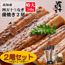 【産地直送・四万十うなぎ】 味付け肝煮付き!! 四万十うなぎ蒲焼（大）約140g 2本セット 四万十うなぎ肝 プレゼント ギフト タレ付き お中元 夏ギフト 高級ギフト お取り寄せ