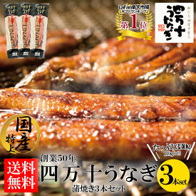 【産地直送・四万十うなぎ】極上!!蒲焼 3本セット★★★ 四万十うなぎ肝 プレゼント ギフト タレ付き お中元 夏ギフト 高級ギフト お取り寄せ