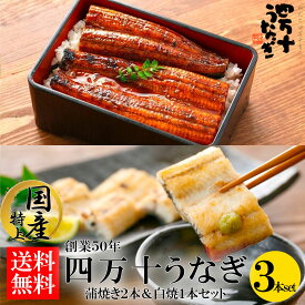 【産地直送・四万十うなぎ】極上!!蒲焼＆白焼 3本セット★★★ 四万十うなぎ肝 プレゼント ギフト タレ付き お中元 夏ギフト 高級ギフト お取り寄せ