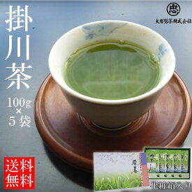 【大塚製茶】掛川茶 深むし茶【100g袋×5本】★化粧箱入り★日本茶 緑茶 お茶 贈り物 お歳暮 贈答品 お返し 産地直送 静岡 日本 掛川市 お取り寄せ グルメ ギフト プレゼント