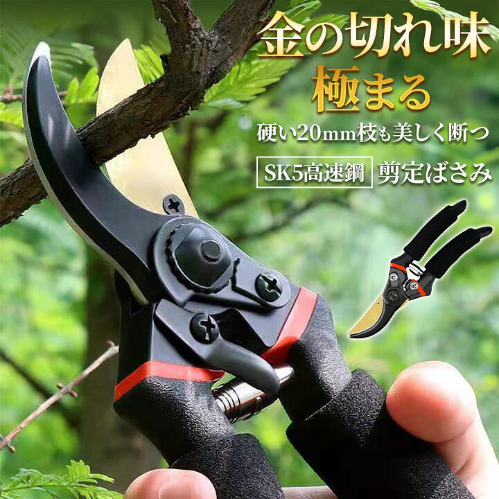 楽天市場】【ランキング1位受賞】 剪定ばさみ 園芸用品 剪定バサミ 